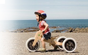 Wishbonebike