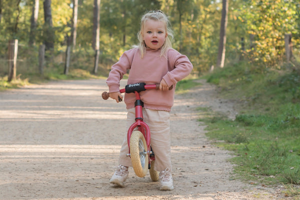Bobbi met de optionele kinbeschermer