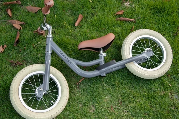 Wielen met standaard ventiel