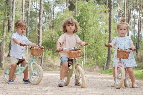 Verkrijgbaar in 3 kleuren, mandje optioneel.